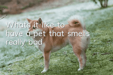 What's it like to have a pet that smells really bad?