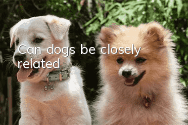 Can dogs be closely related?