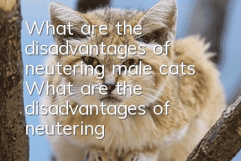 What are the disadvantages of neutering male cats? What are the disadvantages of neutering male cats?