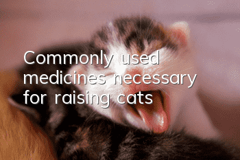Commonly used medicines necessary for raising cats