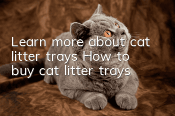 Learn more about cat litter trays: How to buy cat litter trays