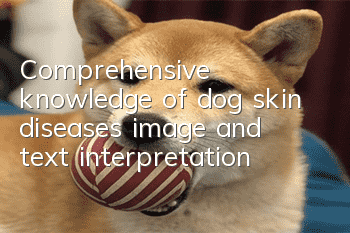 Comprehensive knowledge of dog skin diseases (image and text interpretation)