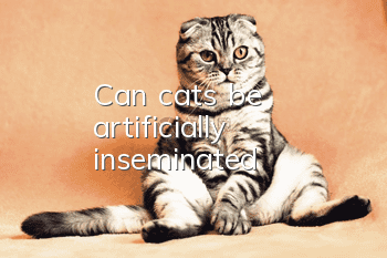 Can cats be artificially inseminated?