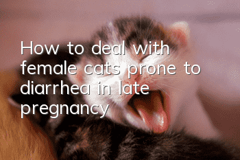 How to deal with female cats prone to diarrhea in late pregnancy