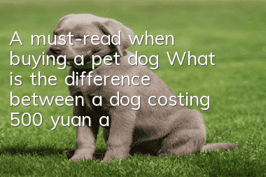 A must-read when buying a pet dog: What is the difference between a dog costing 500 yuan and a dog costing 50,000 yuan?