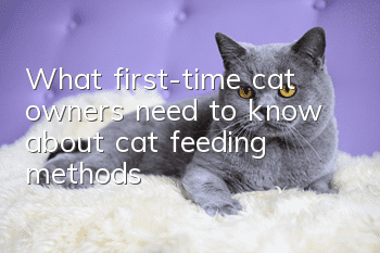 What first-time cat owners need to know about cat feeding methods