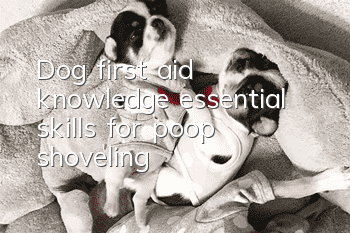 Dog first aid knowledge, essential skills for poop shoveling!