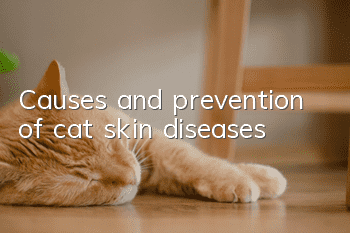 Causes and prevention of cat skin diseases