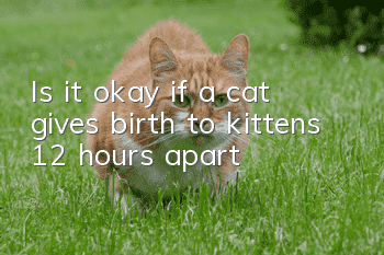 Is it okay if a cat gives birth to kittens 12 hours apart?