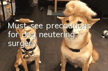 Must-see precautions for dog neutering surgery