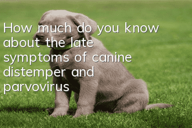 How much do you know about the late symptoms of canine distemper and parvovirus?