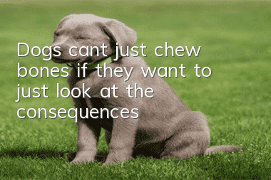 Dogs can’t just chew bones if they want to, just look at the consequences!