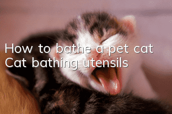 How to bathe a pet cat Cat bathing utensils