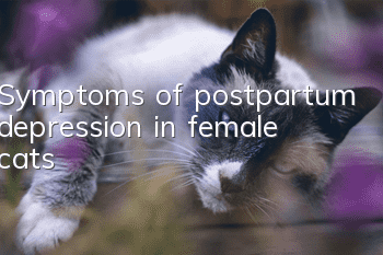 Symptoms of postpartum depression in female cats