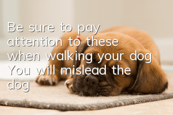 Be sure to pay attention to these when walking your dog! You will mislead the dog!