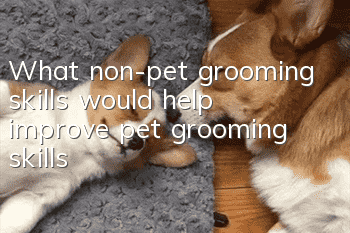 What non-pet grooming skills would help improve pet grooming skills?