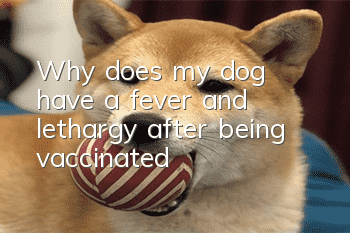 Why does my dog have a fever and lethargy after being vaccinated?