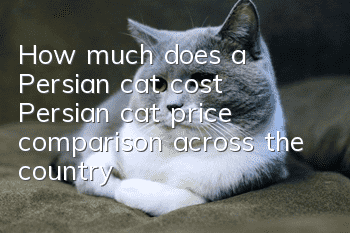How much does a Persian cat cost | Persian cat price comparison across the country