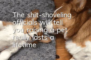 The shit-shoveling officials will tell you: raising a pet really lasts a lifetime