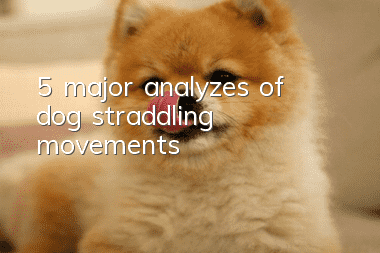 5 major analyzes of dog straddling movements