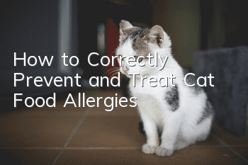 How to Correctly Prevent and Treat Cat Food Allergies