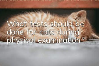 What tests should be done for cats during physical examination?
