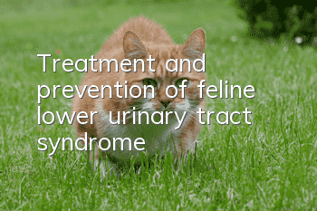 Treatment and prevention of feline lower urinary tract syndrome