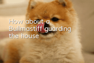 How about a Bullmastiff guarding the house?