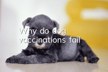 Why do dog vaccinations fail?