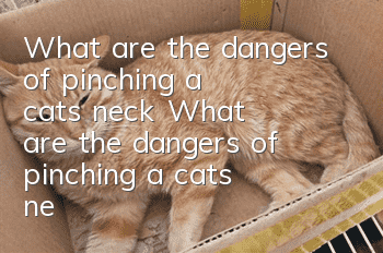What are the dangers of pinching a cat's neck? What are the dangers of pinching a cat's neck?