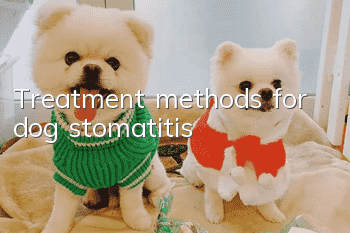 Treatment methods for dog stomatitis