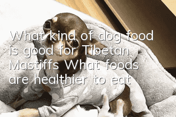 What kind of dog food is good for Tibetan Mastiffs? What foods are healthier to eat?