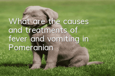 What are the causes and treatments of fever and vomiting in Pomeranian?