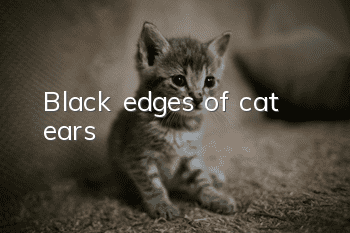 Black edges of cat ears