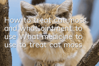 How to treat cat moss and what ointment to use What medicine to use to treat cat moss