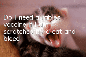 Do I need a rabies vaccine if I am scratched by a cat and bleed?