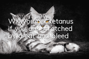 Will you get tetanus if you are scratched by a cat and bleed?
