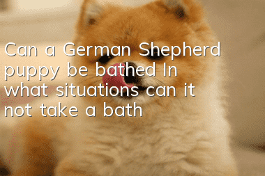 Can a German Shepherd puppy be bathed? In what situations can it not take a bath?