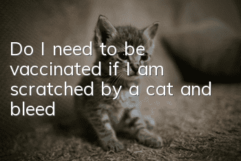 Do I need to be vaccinated if I am scratched by a cat and bleed?