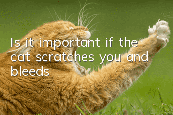 Is it important if the cat scratches you and bleeds?