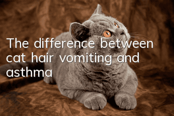 The difference between cat hair vomiting and asthma