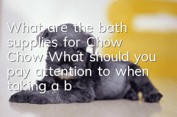What are the bath supplies for Chow Chow? What should you pay attention to when taking a bath?