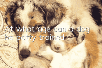 At what age can a dog be potty trained?