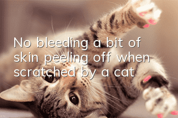 No bleeding, a bit of skin peeling off when scratched by a cat