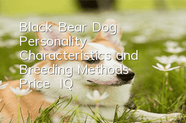 Black Bear Dog Personality Characteristics and Breeding Methods | Price | IQ
