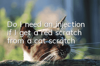 Do I need an injection if I get a red scratch from a cat scratch?