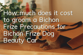 How much does it cost to groom a Bichon Frize? Precautions for Bichon Frize Dog Beauty Care