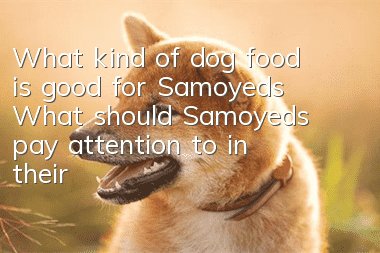 What kind of dog food is good for Samoyeds? What should Samoyeds pay attention to in their diet?