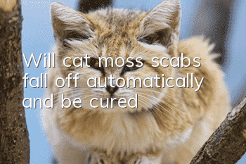 Will cat moss scabs fall off automatically and be cured?