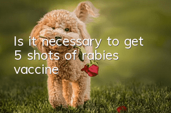 Is it necessary to get 5 shots of rabies vaccine?